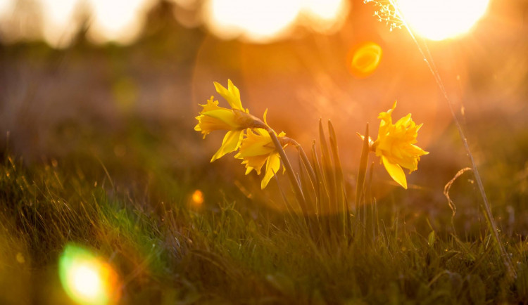Které místo je v kraji nejromantičtější? Kraj vyhlásil jarní fotosoutěž