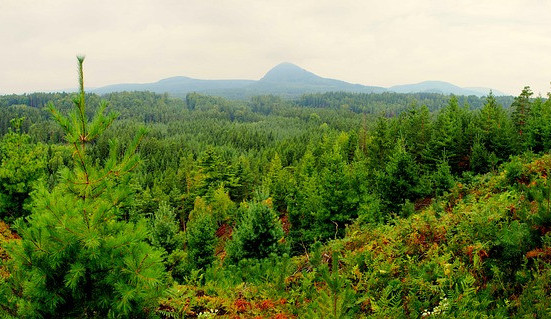 TIP NA VÝLET: I Lužické hory mají co nabídnout. A nudit se nebudou ani děti