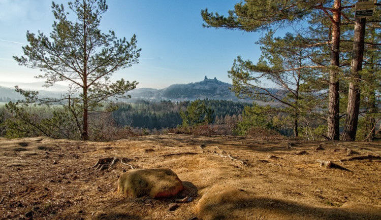 Kniha nebo Želva. Navštivte krásy Boreckých skal