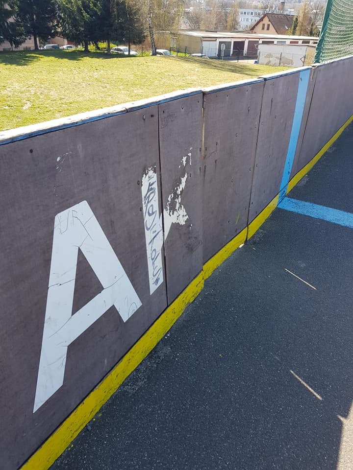 Zachraňme lišky. Hokejbalisté chtějí obnovit hřiště ve Františkově, do sbírky přispívají i osobnosti