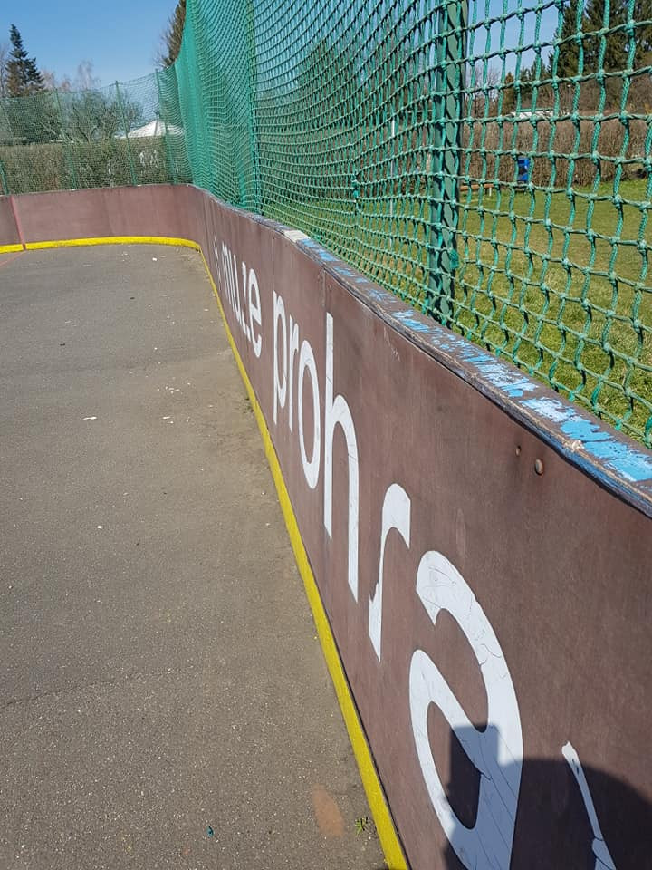 Zachraňme lišky. Hokejbalisté chtějí obnovit hřiště ve Františkově, do sbírky přispívají i osobnosti