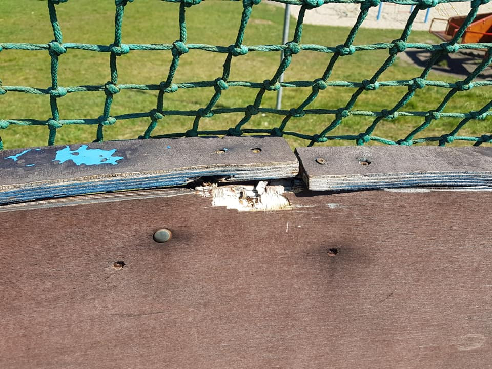 Zachraňme lišky. Hokejbalisté chtějí obnovit hřiště ve Františkově, do sbírky přispívají i osobnosti