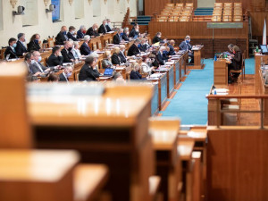 Senát chce brát peníze na příspěvek OSVČ přímo z rozpočtu