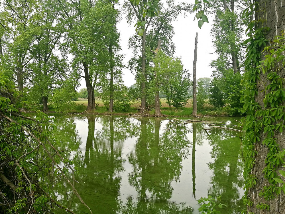 Místo, kde se uskuteční IV. etapa protipovodňových opatření