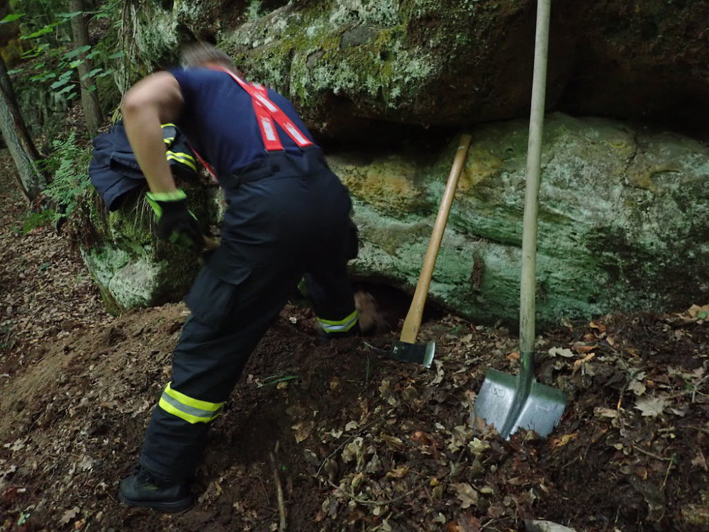 Jezevčík se zaběhl do nory, hledat pomáhali i hasiči