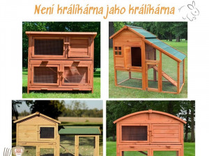 Slepičář: O slepice je stále větší zájem. Lidé chtějí žít zdravě, mít ke snídani domácí vajíčka