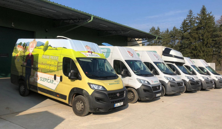 Slepičář: O slepice je stále větší zájem. Lidé chtějí žít zdravě, mít ke snídani domácí vajíčka