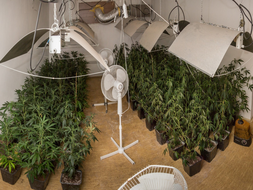 V nenápadném domku pěstoval konopí, kriminalisté u muže zadrželi i zbraně a hašiš