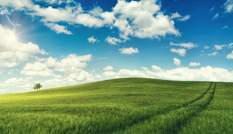 POČASÍ NA STŘEDU: Další letní den před námi. Teploty budou atakovat třicítku