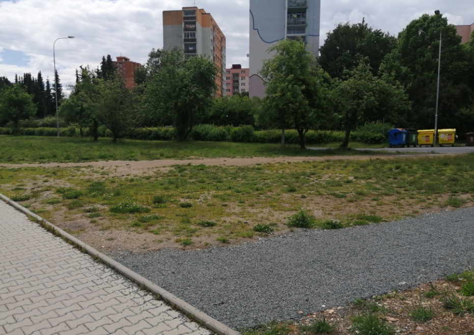 Situace před zásahem