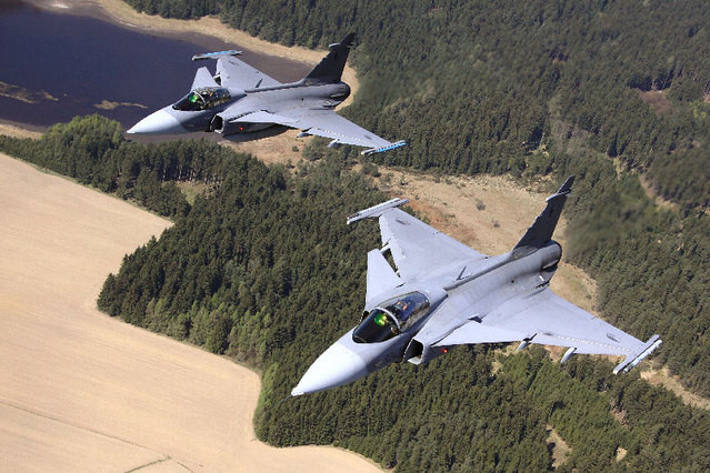 JAS-39 Gripen /Jan Kouba