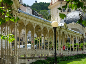 Vouchery komplikují byznys, shodují se provozovatelé lázní. Recepce musí zájemce odmítat