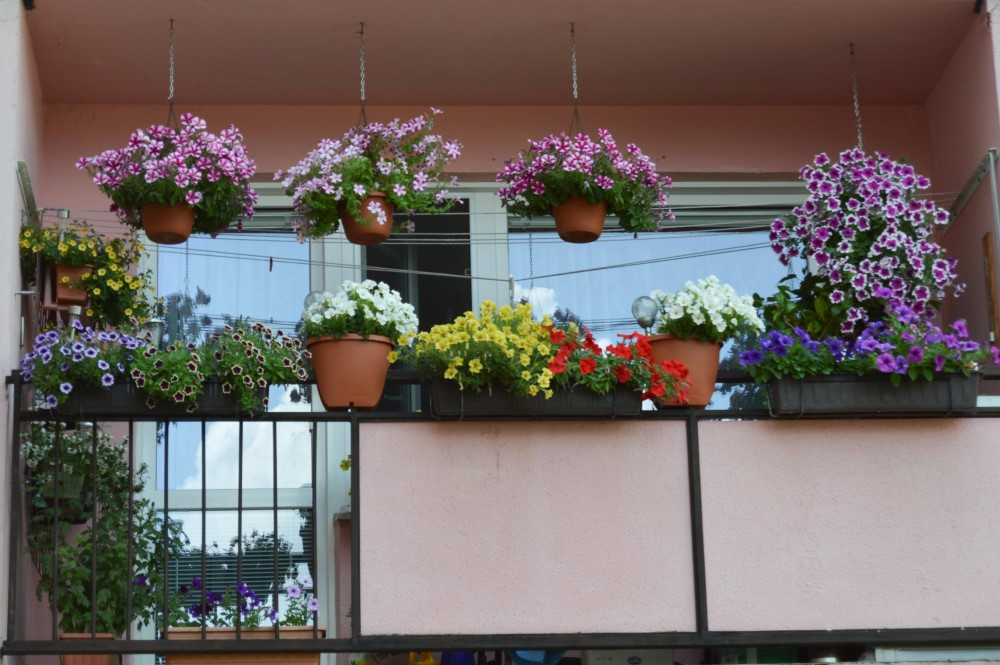 Květinová soutěž potrvá do konce srpna. Výzdoba se hodnotí v různých kategoriích