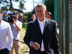 Babiš má podle šéfa žalobců dál rozhodující vliv na Agrofert