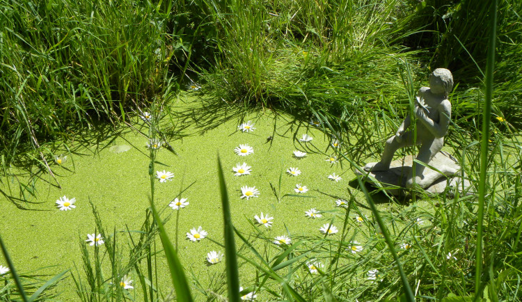 Rádi tvoříte přírodní umění? Zapojte se do Land art soutěže Geoparku Ralsko