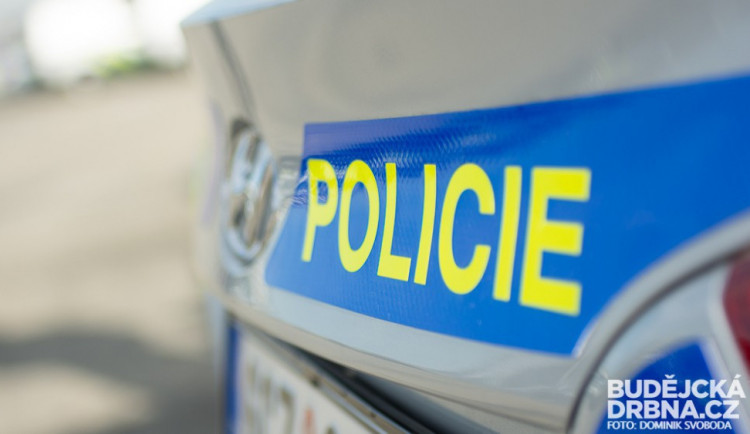 Ukradl yorkšíra i kola za více než 100 tisíc. K majitelům se vrátili během pár dní