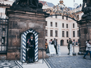 Hrad musí zveřejnit platy vedoucích úředníků, rozhodl soud