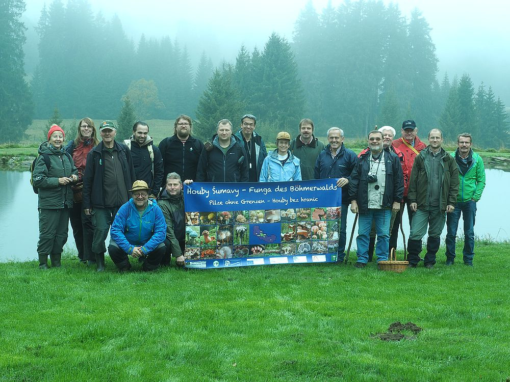 Rozsáhlá databáze hub bavorsko-česko-rakouského trojmezí prozrazuje místa výskytu více než 4000 druhů
