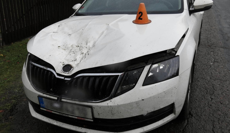 FOTO: Během jízdy spadl řidiči na kapotu auta strom