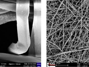 Liberecká univerzita odhalila falešné nanoroušky z Asie