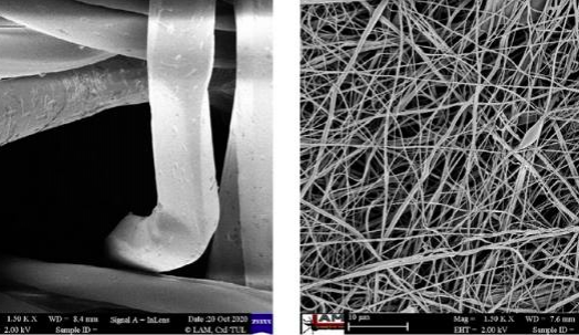 Liberecká univerzita odhalila falešné nanoroušky z Asie.