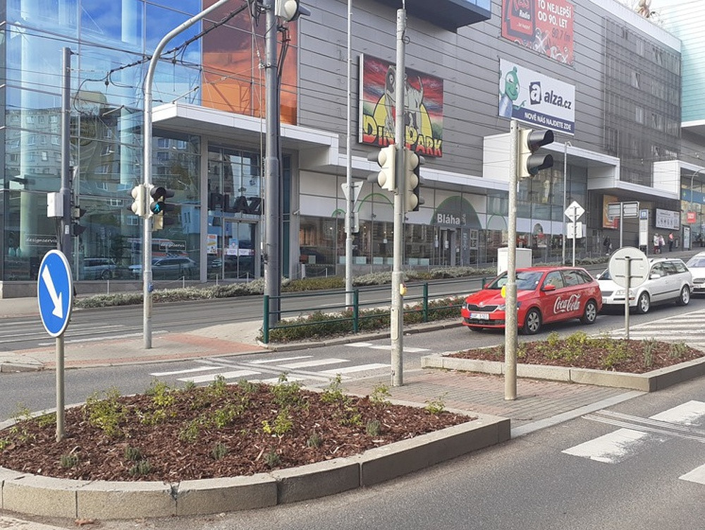 V Liberci stihli ještě před zimou vysadit nové trvalky na Husovce i v Palachově ulici