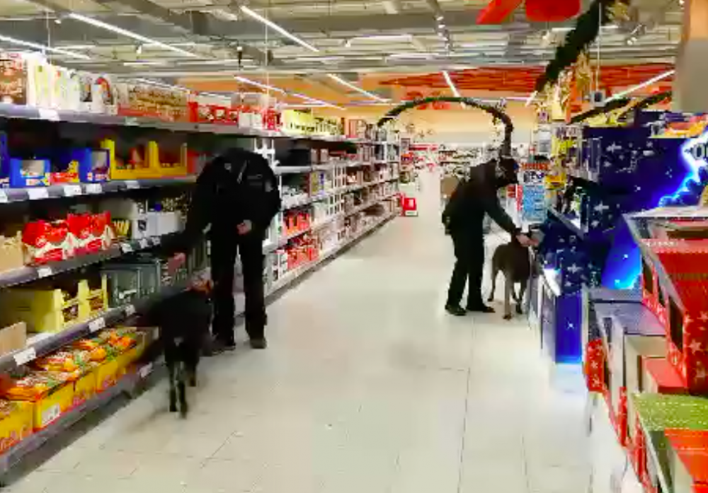 Anonym nahlásil bombu v Globusu. Výbušninu hledala desítka policistů.