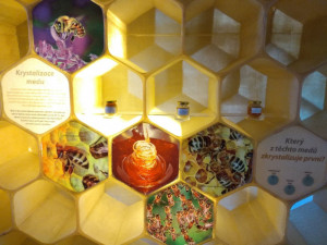 Cenu Patria Nostra získal ve Středočeském kraji Včelí svět v Hulicích.