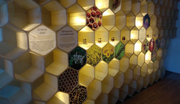 Cenu Patria Nostra získal ve Středočeském kraji Včelí svět v Hulicích.