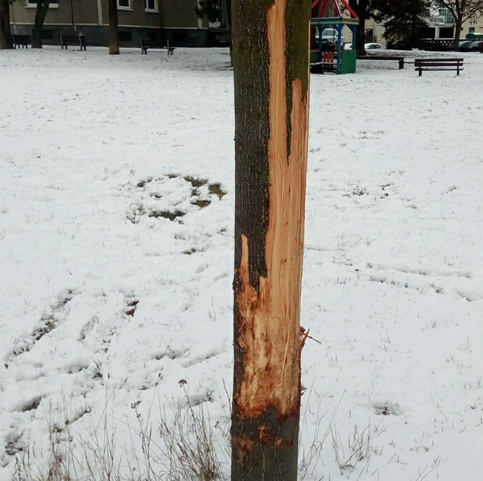 144201145_3451296894980210_8035498274604789119_n