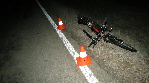 Cyklista se těžce zranil po srážce se srnou. Skončil v nemocnici