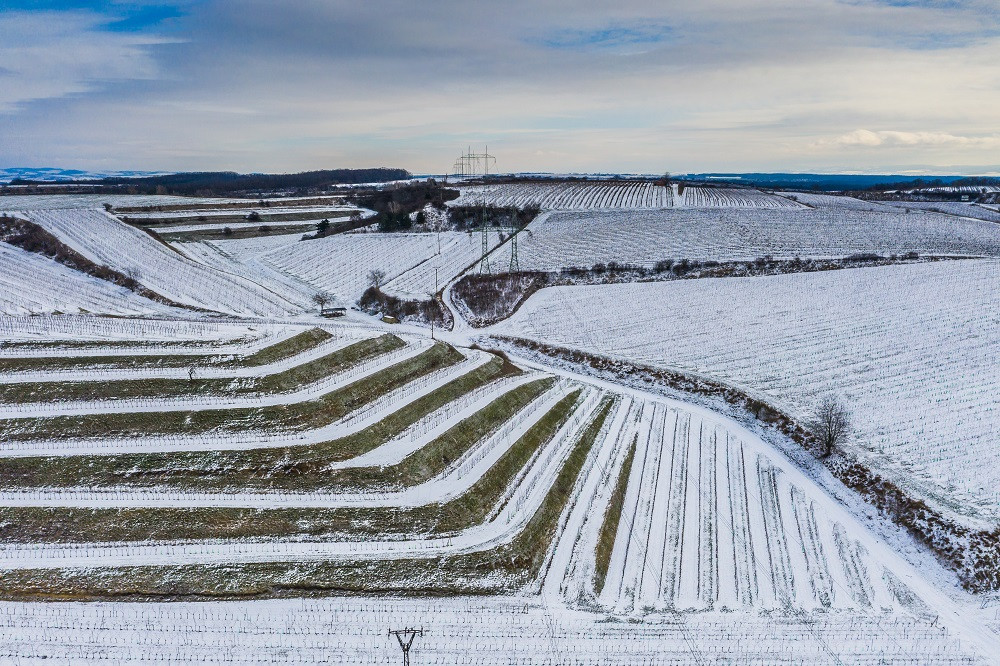 Co se skrývá za sklenkou vína aneb Kdo chce slopat, musí kopat. Vinohrad ani v zimě nespí