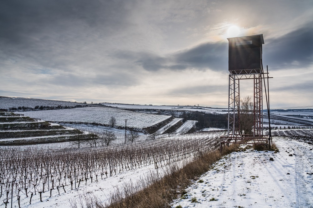 Co se skrývá za sklenkou vína aneb Kdo chce slopat, musí kopat. Vinohrad ani v zimě nespí
