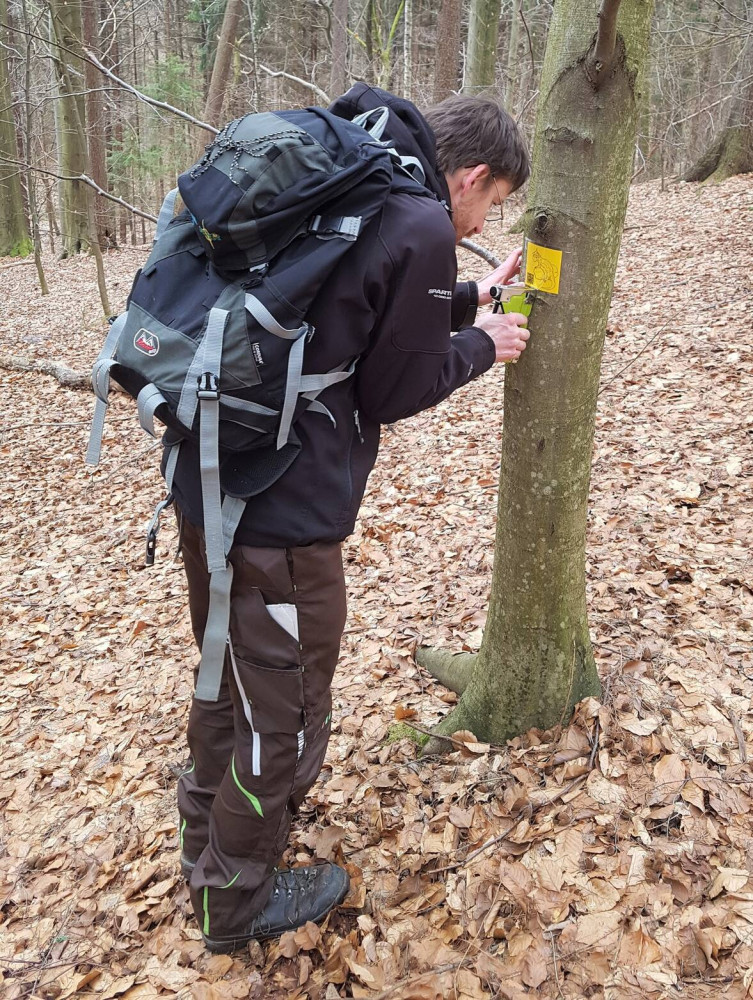 Nová stezka u Lesního koupaliště v Liberci