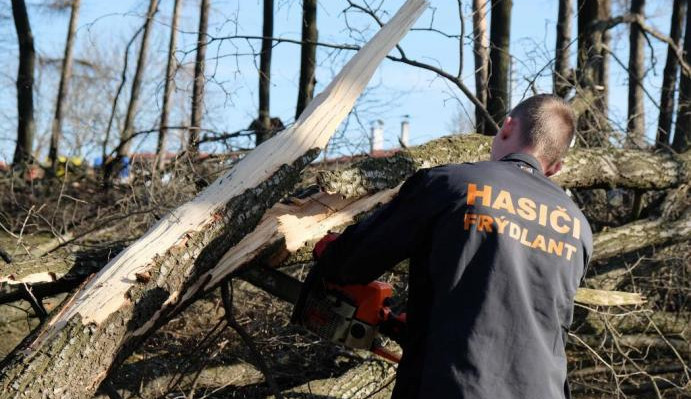 Ve frýdlantském parku muselo k zemi osmnáct stromů. Ohrožovaly návštěvníky