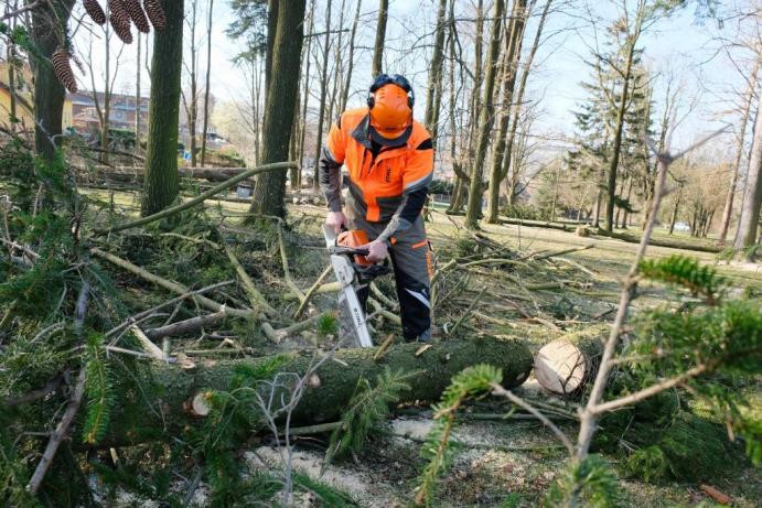 Ve frýdlantském parku muselo k zemi osmnáct stromů. Ohrožovaly návštěvníky