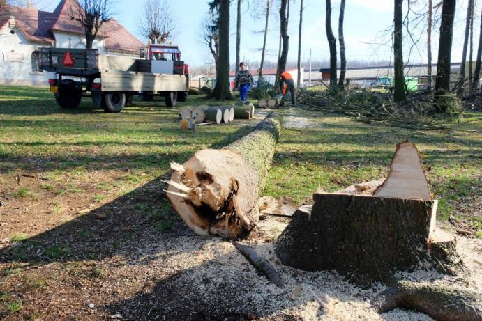 Ve frýdlantském parku muselo k zemi osmnáct stromů. Ohrožovaly návštěvníky