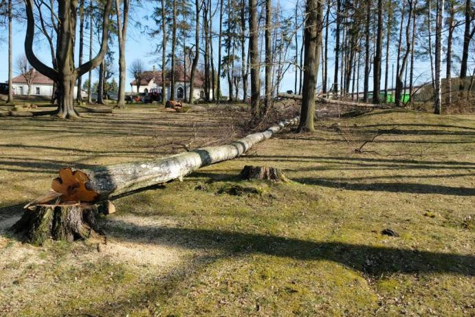 Ve frýdlantském parku muselo k zemi osmnáct stromů. Ohrožovaly návštěvníky