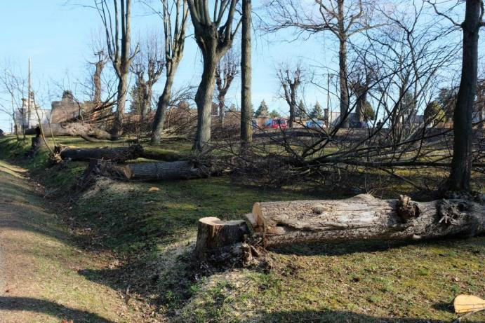 Ve frýdlantském parku muselo k zemi osmnáct stromů. Ohrožovaly návštěvníky