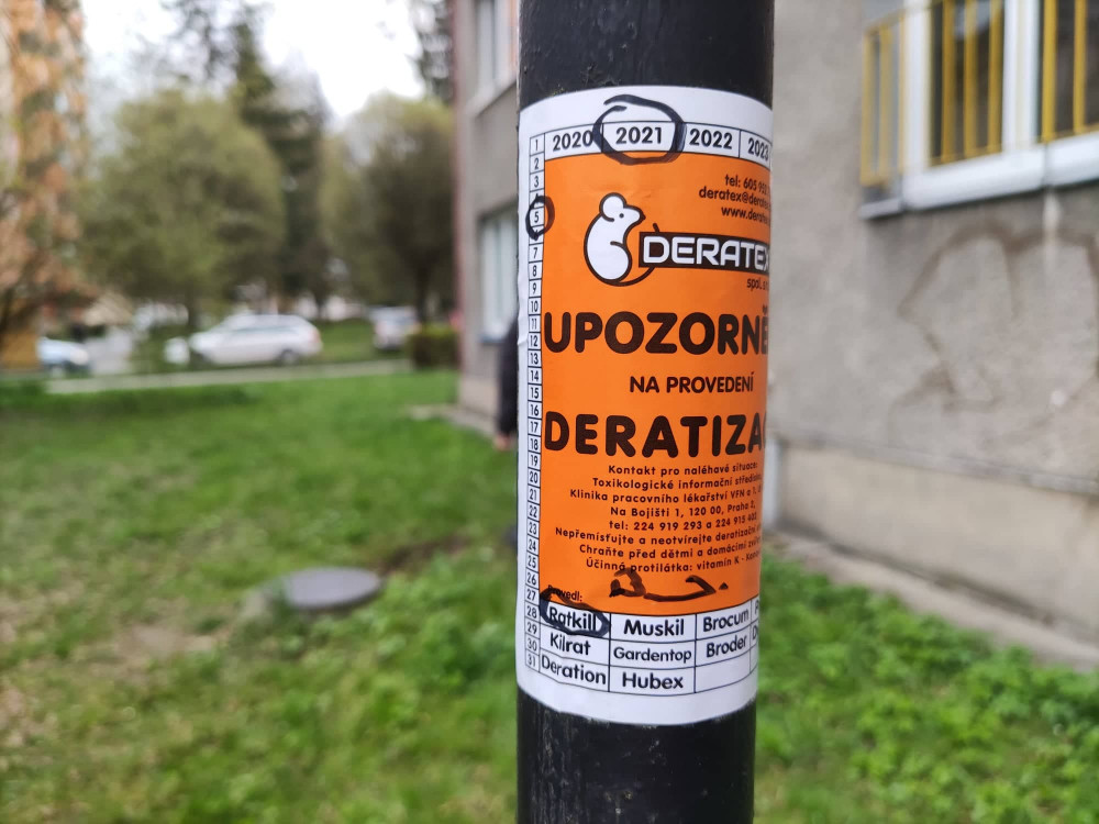 Od tohoto týdne probíhá v Jihlavě deratizace. Potkanů je nejvíce na Březinkách, Dolině nebo v Kollárově ulici