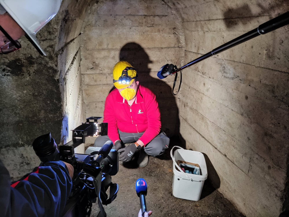 Od tohoto týdne probíhá v Jihlavě deratizace. Potkanů je nejvíce na Březinkách, Dolině nebo v Kollárově ulici