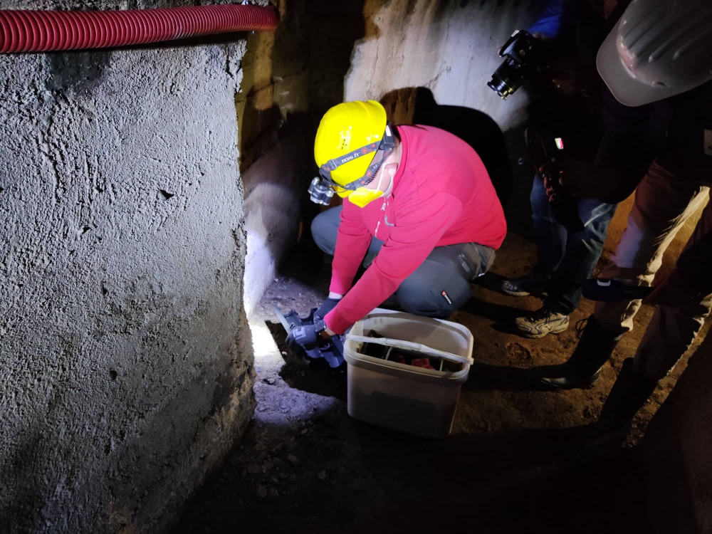 Od tohoto týdne probíhá v Jihlavě deratizace. Potkanů je nejvíce na Březinkách, Dolině nebo v Kollárově ulici
