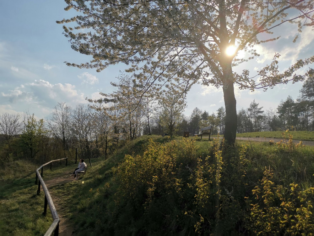 Kam o víkendu? Prozkoumejte neznámý lesopark v Řepích, který nabízí přírodu mezi sídlišti