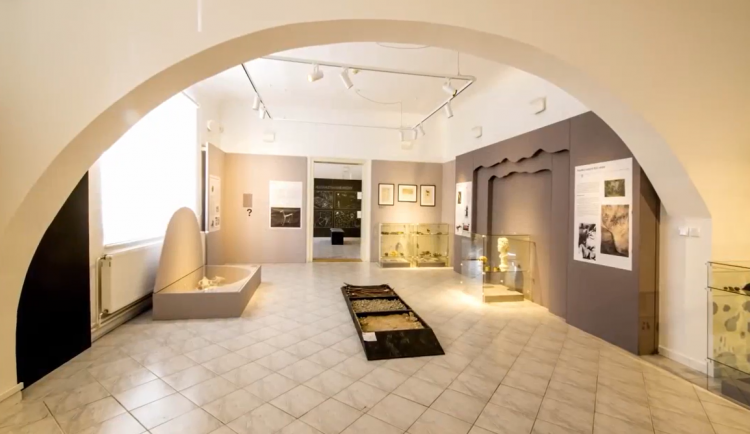 Výstava Cesty zavede návštěvníky do pravěku, představí Jantarovou stezku