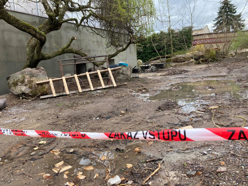 Safari Park ve Dvoře Králové chce chovat tučňáky. Staví pro ně speciální pavilon