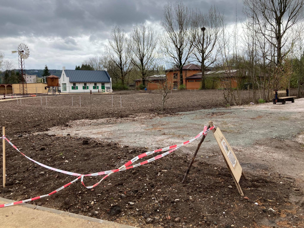 Safari Park ve Dvoře Králové chce chovat tučňáky. Staví pro ně speciální pavilon