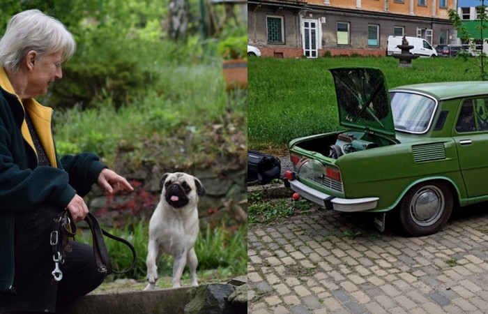 KVĚTEN 2021: Nejstarší psí hotel, pohřešované děti nebo nalezený veterán