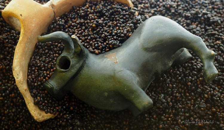 Otevírá se Býčí skála, jeskyně láká na archeologické nálezy