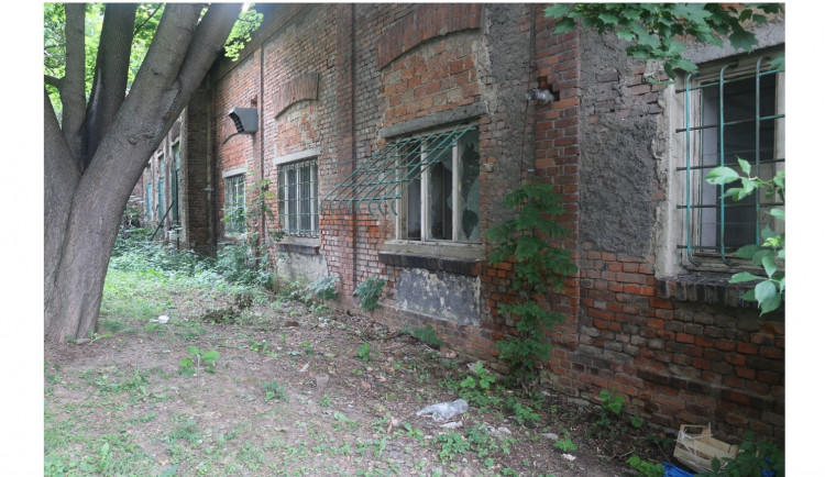 Jihomoravští policisté dopadli recidivistu, našli ho schovaného v křoví