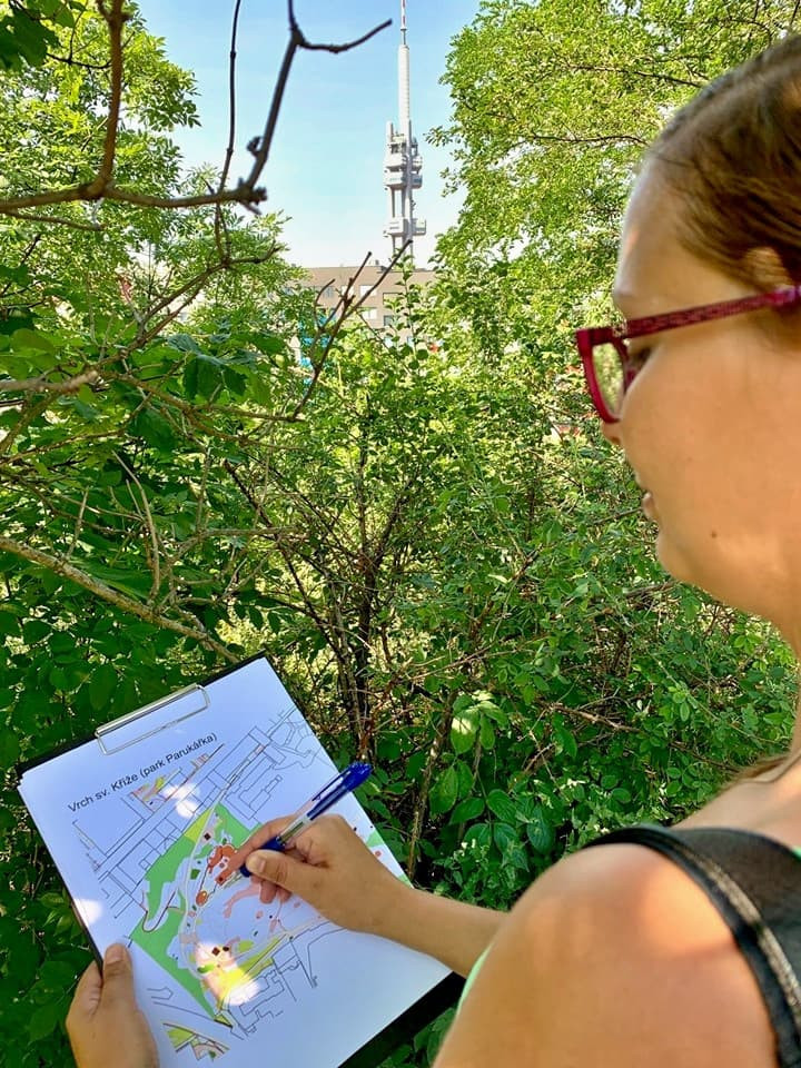 V parcích v Praze 3 vznikla pítka pro ptáky. Lidé si jej mohou vyrobit i doma